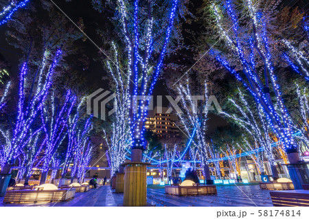 さいたま新都心 けやきひろばイルミネーション 夜景の写真素材