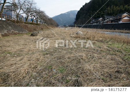 鳥取 四季の散歩 冬 智頭宿雪祭り 鳥取 四季の散歩 冬 智頭宿雪祭り 58175277