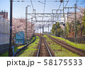 桜 線路 58175533