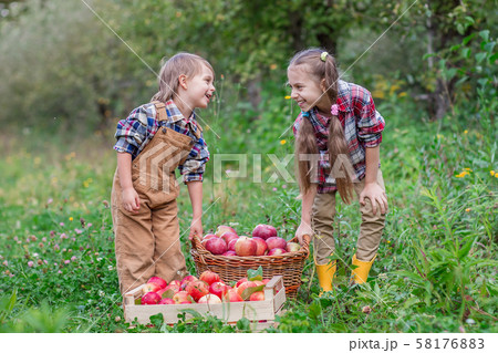 Portrait of a brother and sister in the garden 58176883
