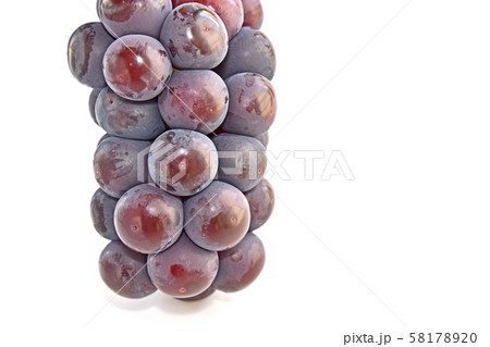 ぶどう(オーロラブラック) ぶどう(オーロラブラック) 58178920