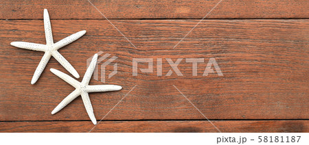 close up of starfish  58181187