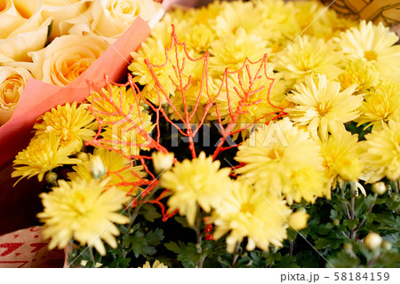orange yellow chrysanthemums pink roses autumn bouquet orange yellow chrysanthemums pink roses autumn bouquet 58184159