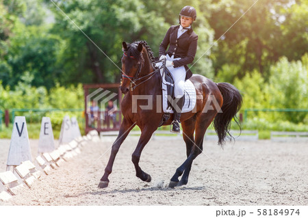 Young woman riding horse on dressage advanced test 58184974