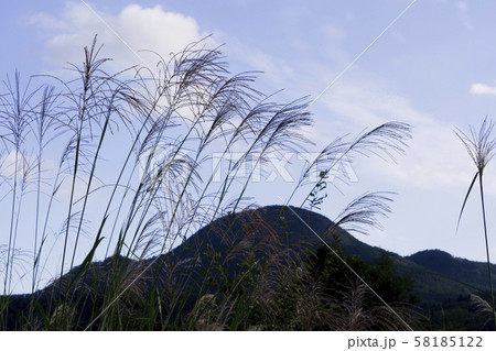 すすき 秋 シルエット 青空 山の写真素材