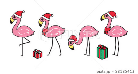 flamingo vector Christmas icon Santa Claus hat gift box bird cartoon character animal exotic nature wild fauna illustration doodle design 58185413