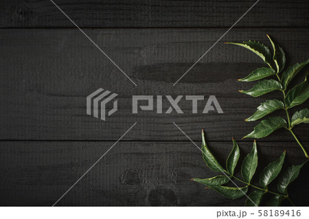 green twigs of plants on a black wooden board 58189416