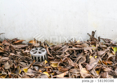 Many dry leaves clogged the drain, causing water 58190386