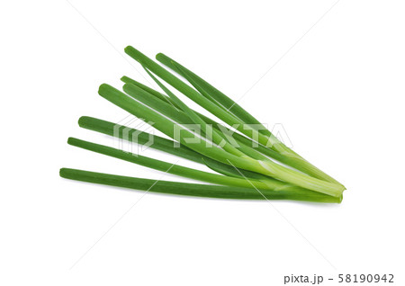 Green onion isolated on the white background Green onion isolated on the white background 58190942