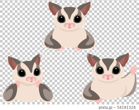 Owl's bust up pose illustration set (gray) 58191328