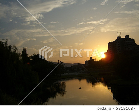 野間大池(夕暮れ) 58191637