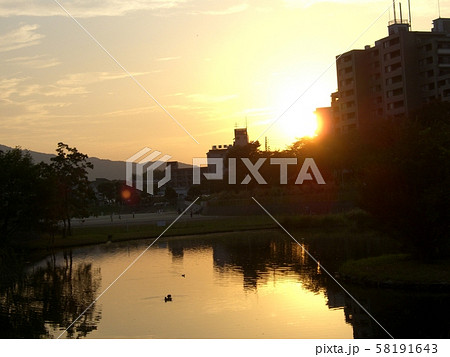 野間大池 夕暮れ の写真素材