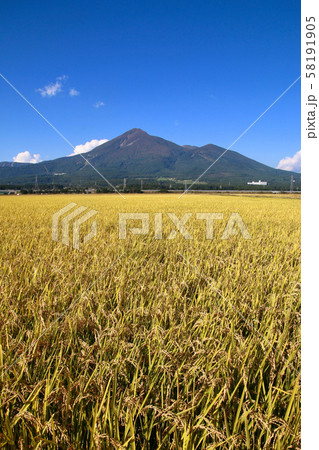 稲穂と磐梯山（福島県・猪苗代町） 58191905