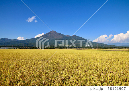 稲穂と磐梯山（福島県・猪苗代町） 58191907