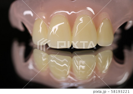 入れ歯 58193221