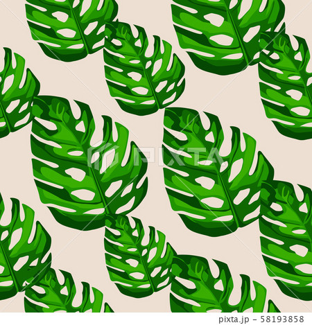 Monstera leaves seamless patern. Botanical leaf 58193858