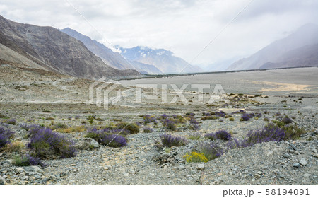 Mountainscape of Ladakh, North of India 58194091