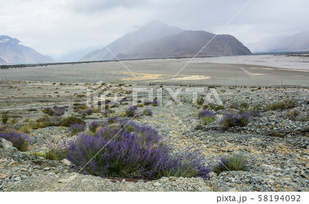 Mountainscape of Ladakh, North of India Mountainscape of Ladakh, North of India 58194092