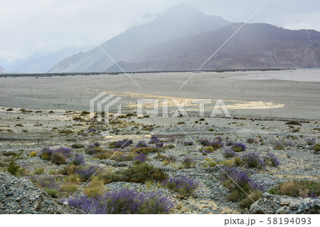 Mountainscape of Ladakh, North of India Mountainscape of Ladakh, North of India 58194093