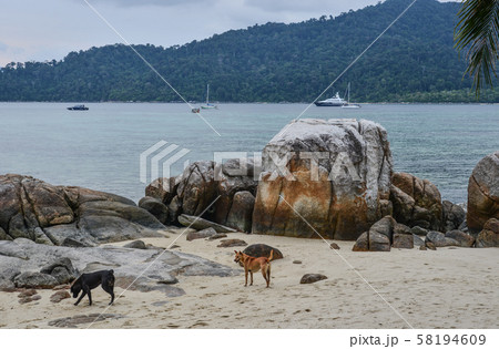 Seascape of Koh Lipe, Thailand 58194609