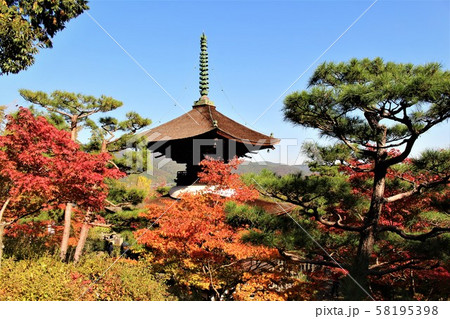 常寂光寺の紅葉と多宝塔 常寂光寺の紅葉と多宝塔 58195398