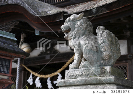 白髭神社　狛犬 58195678