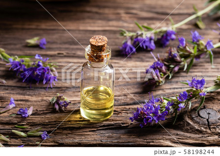 A bottle of essential oil with fresh blooming hyssop plant A bottle of essential oil with fresh blooming hyssop plant 58198244