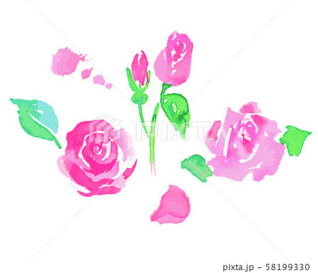 ピンクのバラ1のイラスト素材 58199330 Pixta