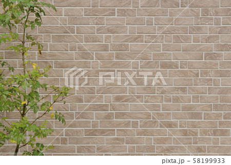 若葉と壁の背景素材 58199933