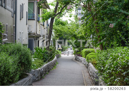 東京都高円寺の遊歩道 東京都高円寺の遊歩道 58200263