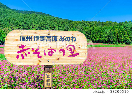 赤そばの花　【長野県】 58200510