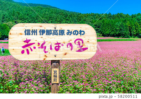 赤そばの花　【長野県】 58200511