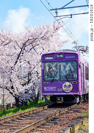 京都・嵐電(桜のトンネル) 京都・嵐電(桜のトンネル) 58201619