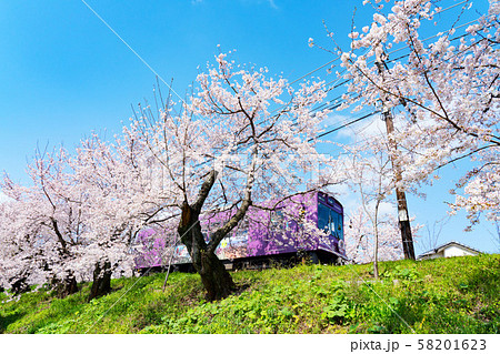 京都・嵐電（桜のトンネル） 58201623