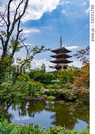 京都府　宮津市　成相寺の境内　五重塔と池 58201786