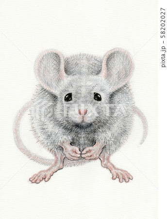 ねずみ　背景キャンバス地 58202027