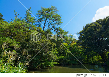 金沢 松風閣庭園 霞ヶ池 金沢 松風閣庭園 霞ヶ池 58202941