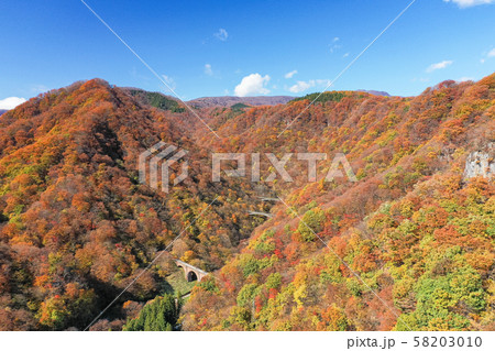 空撮 紅葉 群馬県めがね橋の風景 秋 空撮 紅葉 群馬県めがね橋の風景 秋 58203010