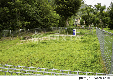 西紀サービスエリア　下り線　ドッグラン　兵庫県丹波篠山市 58203216