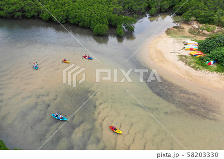 吹通川ヒルギ群落のカヌー体験の空撮 58203330