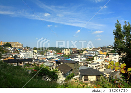 神奈川県　百合丘　街並み　 58203730