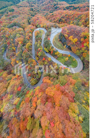 空撮　紅葉に染まった日光のいろは坂　秋 58204721