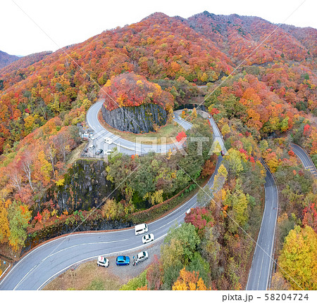 空撮　紅葉に染まった日光のいろは坂　秋 58204724