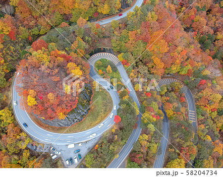 空撮　紅葉に染まった日光のいろは坂　秋 58204734