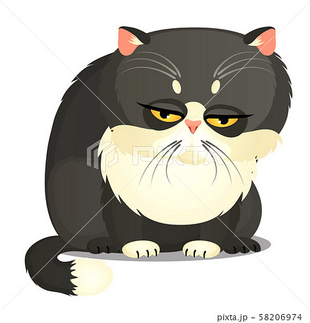 Sad fat gray cat with yellow eyes isolated on a... - Stock Illustration  [58206974] - PIXTA