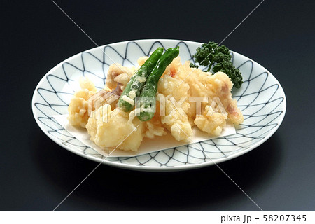 食べ物 食品 天ぷら いか いか天ぷら つまみ 肴 魚介 一品料理 日本料理 和食 皿盛り 食べ物 食品 天ぷら いか いか天ぷら つまみ 肴 魚介 一品料理 日本料理 和食 皿盛り 58207345