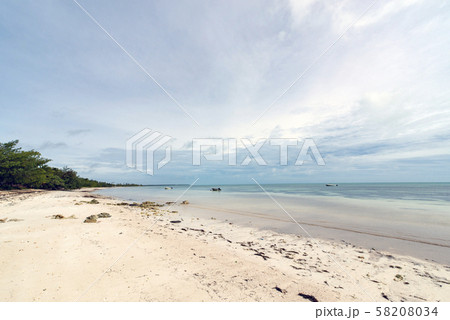 ニューカレドニア ロイヤルティ諸島 ウベア島　オニャビーチ 58208034