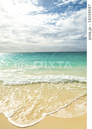 ニューカレドニア ロイヤルティ諸島　リフー島　シャンパーニュビーチ 58208087
