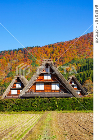 ユネスコ世界遺産白川郷の美しき秋 日本岐阜県白川村 ユネスコ世界遺産白川郷の美しき秋 日本岐阜県白川村 58208899