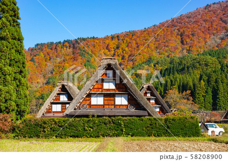 ユネスコ世界遺産白川郷の美しき秋　日本岐阜県白川村 58208900
